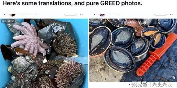 开云在线-大规模抗议爆发, 针对华人! 本地人在海边用中文横幅抵制!