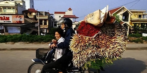 开云官网-回国后我才敢说：越南是我去过的所有国家中，最被低估的